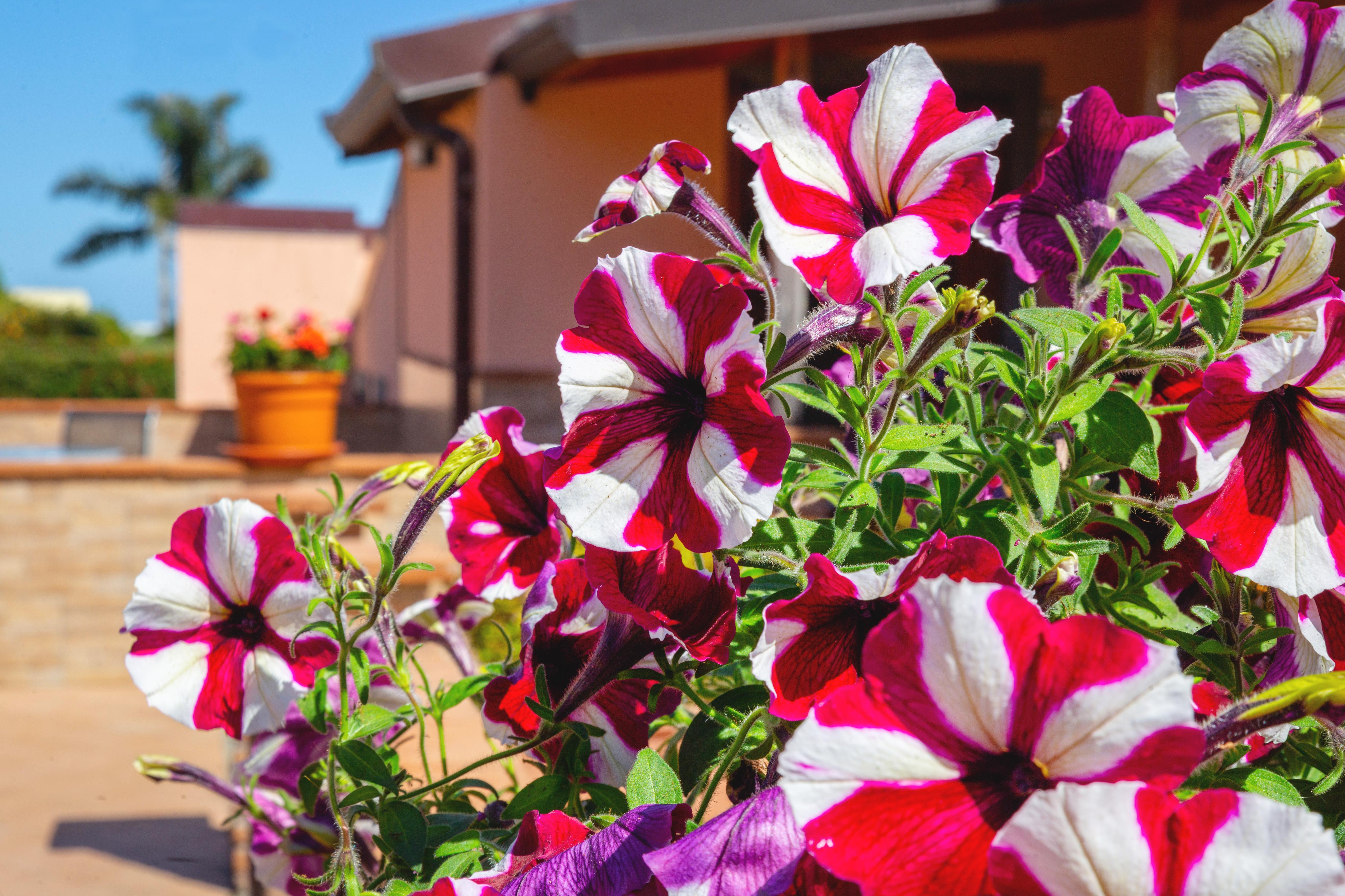 La Terra Dei Sogni Country Hotel Fiumefreddo di Sicilia Exterior foto