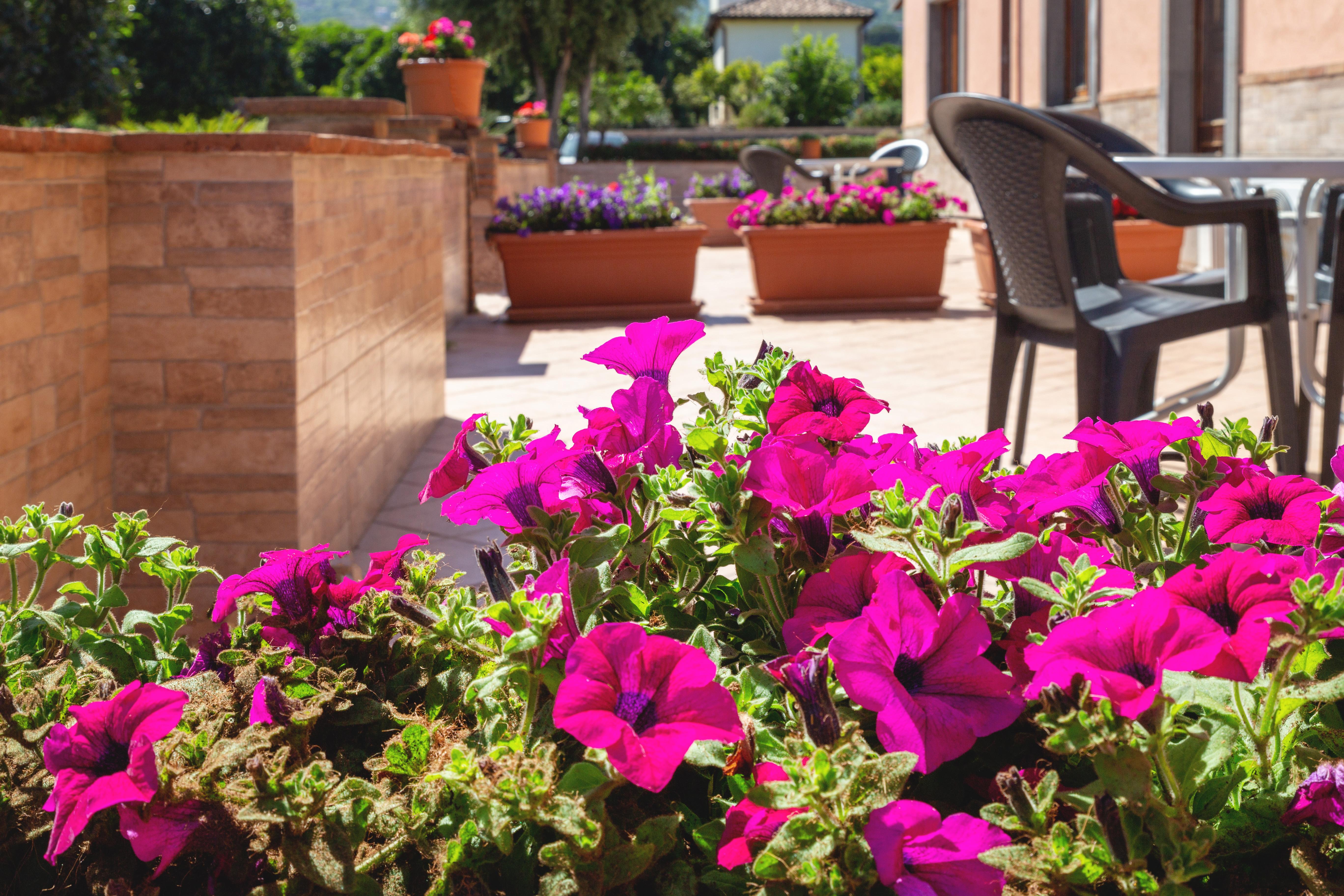 La Terra Dei Sogni Country Hotel Fiumefreddo di Sicilia Exterior foto